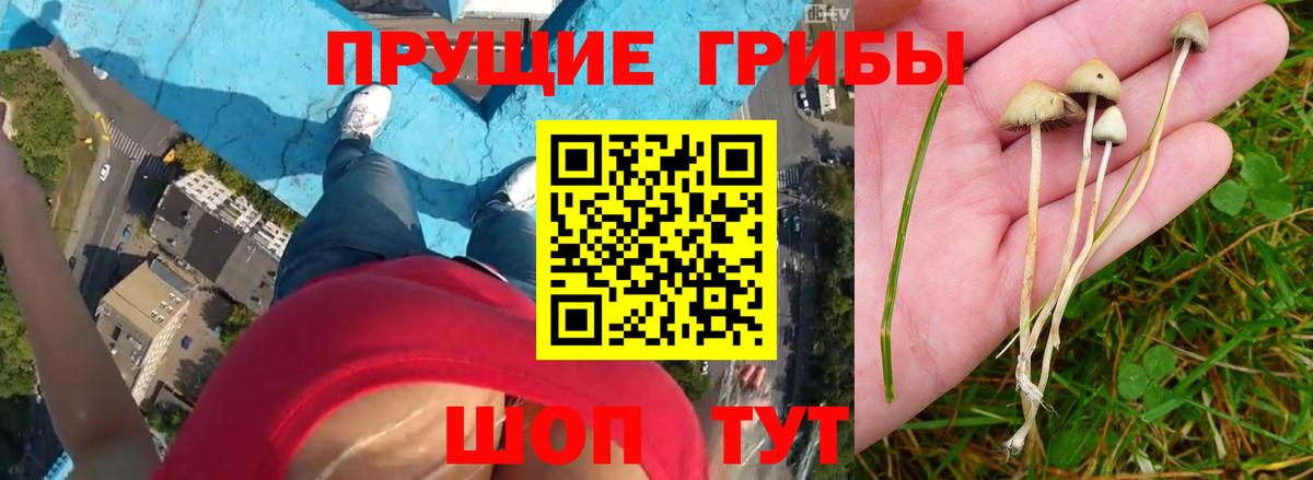 Псилоцибиновые грибы мухоморы  Вход с VPN  Вичуга 